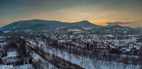 Villa Harmonia Apartamenty Ustro?