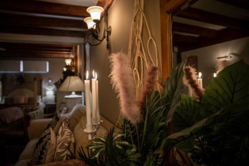 Apartamento The Lemon Tree
