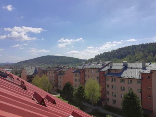 Apartamenty Bieszczadzki Anio?