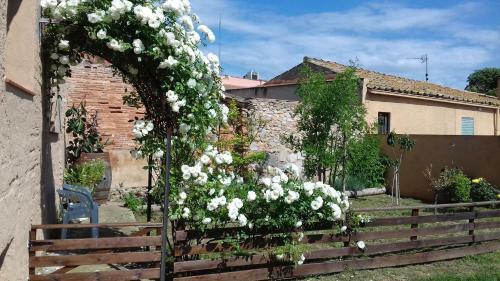 Agroturismo Mas De Les Canyes