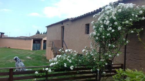 Agroturismo Mas De Les Canyes