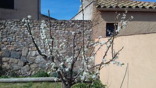 Agroturismo Mas De Les Canyes