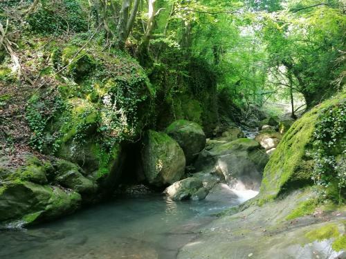 Les Pedres
