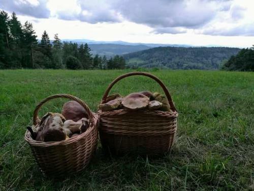 Agroturismo Dom Na Rozdro?u