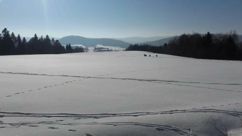 Agroturismo Dom Na Rozdro?u
