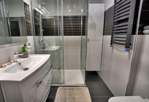 Apartament "ludwik"