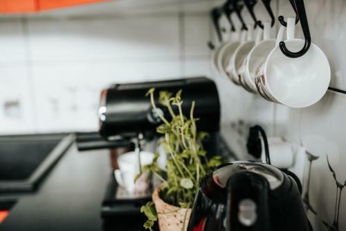 Apartamento Swobodna Miejsc�wka Ustrzyki Dolne