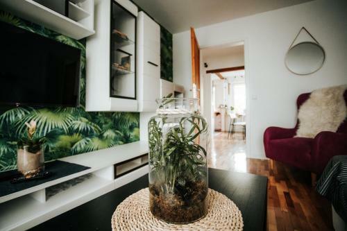 Apartamento Swobodna Miejsc�wka Ustrzyki Dolne