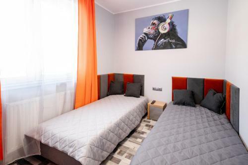 Apartament Modern