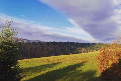 Znam Ten Widok - Bieszczady