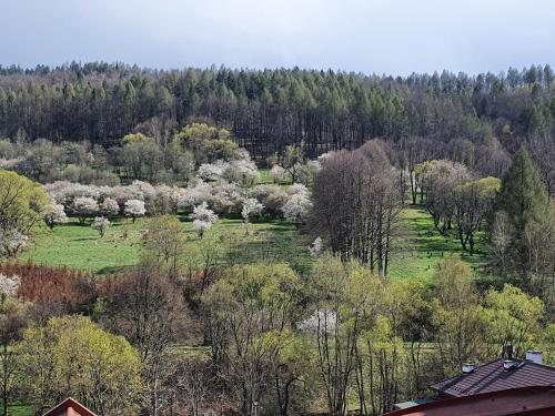 Apartament W Centrum 3