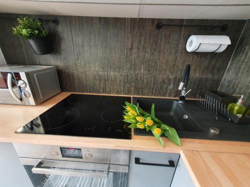 Apartament W Centrum 3