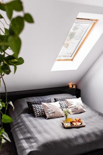 Apartament W Centrum 3