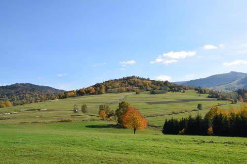 Lodge Lawendowe Wzg�rze 21