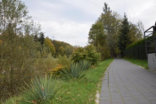 Lodge Lawendowe Wzg�rze 21