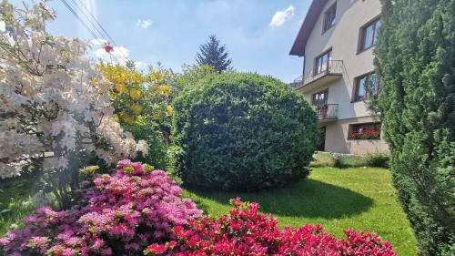 Bed & Breakfast Dom Wczasowy Irys