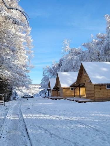 Domki Bieszczady - Baza U?miech�w