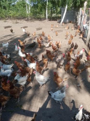Gospodarstwo Agroturystyczne