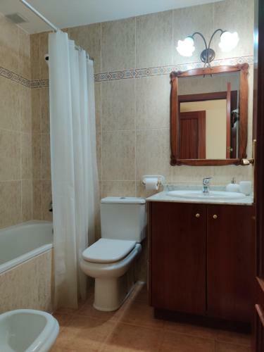 Apartamento Aneto