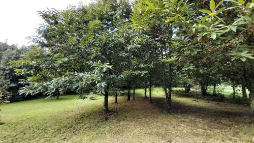 A Casa Dos Av�s - Vilari�o - A Coru�a