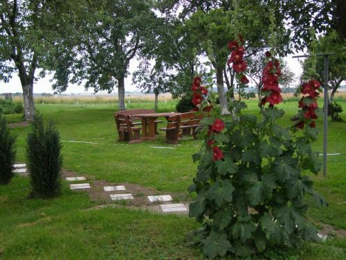 Agroturismo Ranczo U Stefana