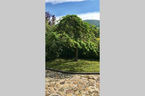 Casa Amalia - En El Coraz�n Verde De Cantabria!!