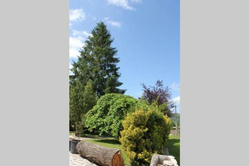 Casa Amalia - En El Coraz�n Verde De Cantabria!!