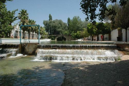 Junto Al Guadalquivir A