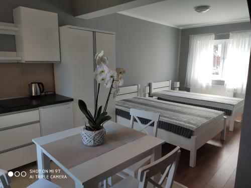 Apartamenty I Pokoje Biala Hortensja