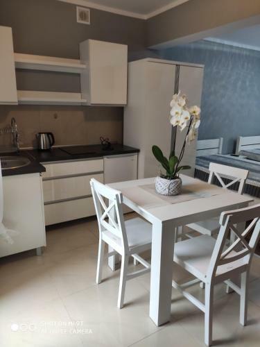Apartamenty I Pokoje Biala Hortensja