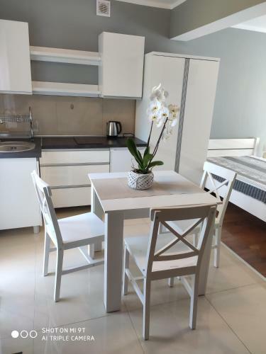 Apartamenty I Pokoje Biala Hortensja