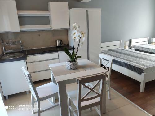 Apartamenty I Pokoje Biala Hortensja