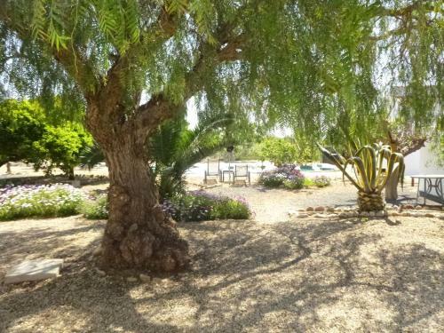 Finca Arboleda