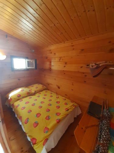 Lodge Domki Letniskowe U Janka