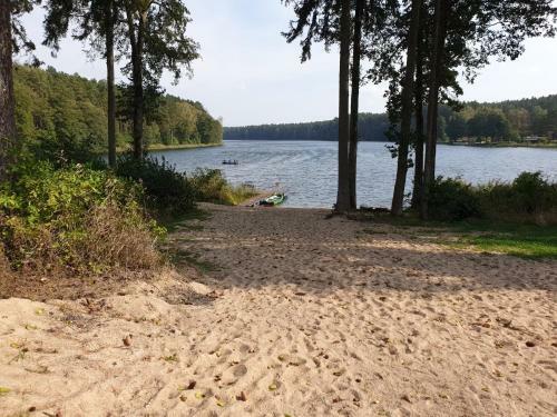Apartamento Serce Puszczy Wiartel