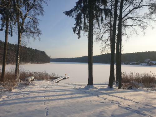 Apartamento Serce Puszczy Wiartel