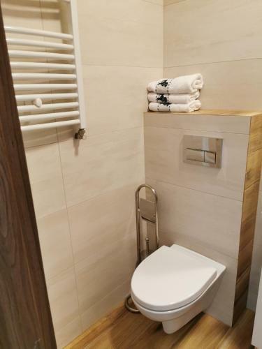 Apartamento Serce Puszczy Wiartel
