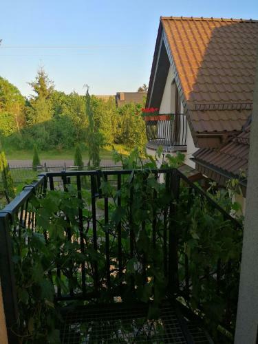 Apartamento S?oneczne Zacisze