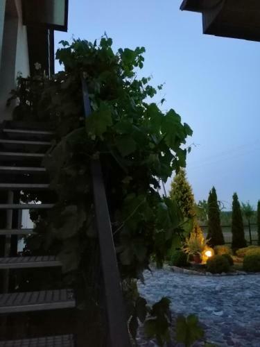 Apartamento S?oneczne Zacisze