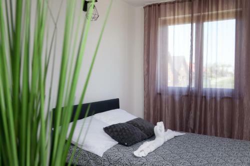 Apartamenty Majka