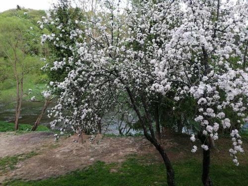 Apartamento Le?nicz�wka Kalina