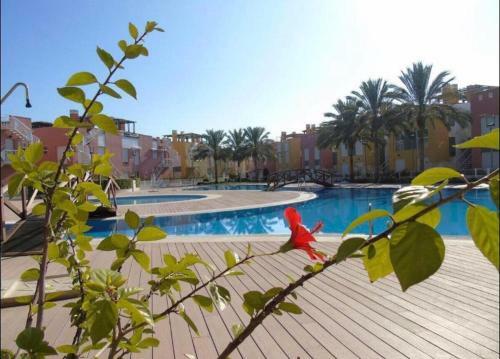 Apartamento White Seagull Laguna Beach Vera Playa