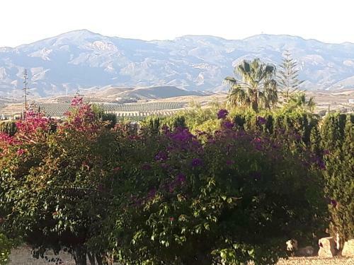 Bed & Breakfast Finca San Mateo