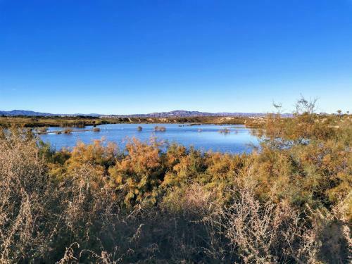 Apartamento Veratespera Apto Cerca de La Playa, Wifi, Mascotas