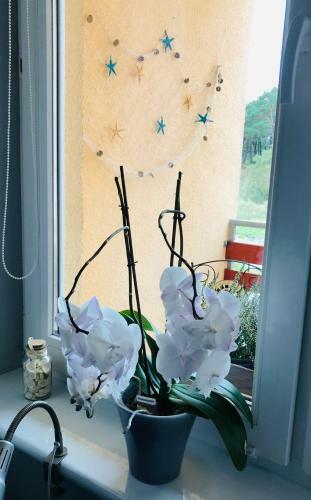 Apartament Przy Wydmie