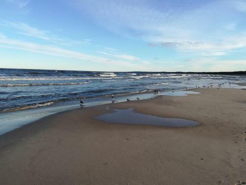 Apartament La Mer