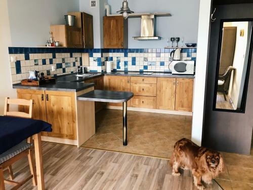 Apartament Regata W Sercu Mariny W Ustce