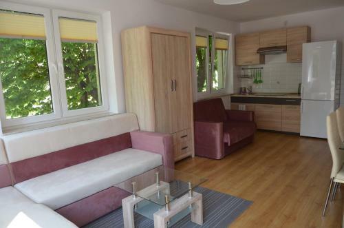 Apartamenty Ole?ka