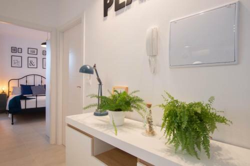 Apartamento La Plaza-col�n