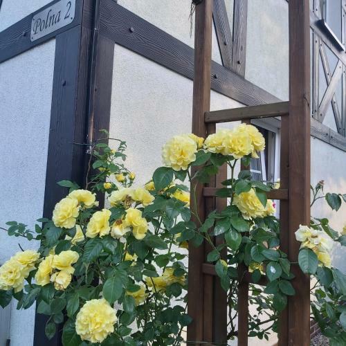 Nadmorskie Apartamenty